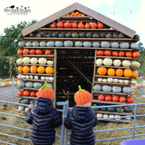 Pumpkin Hat crochet pattern 